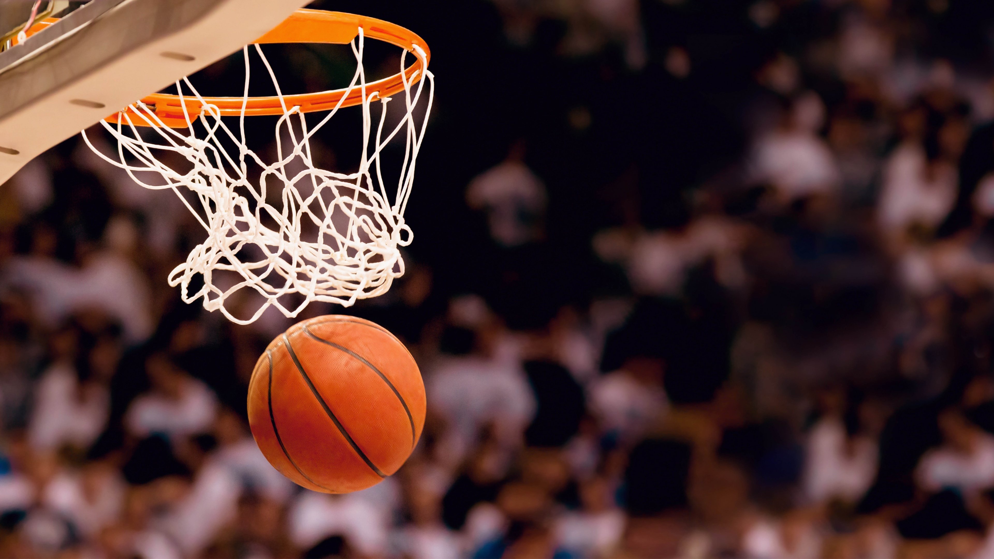 开云体育app-鹈鹕的翅膀与杜兰特的镰刀，当NBA预言撞上未来世界杯